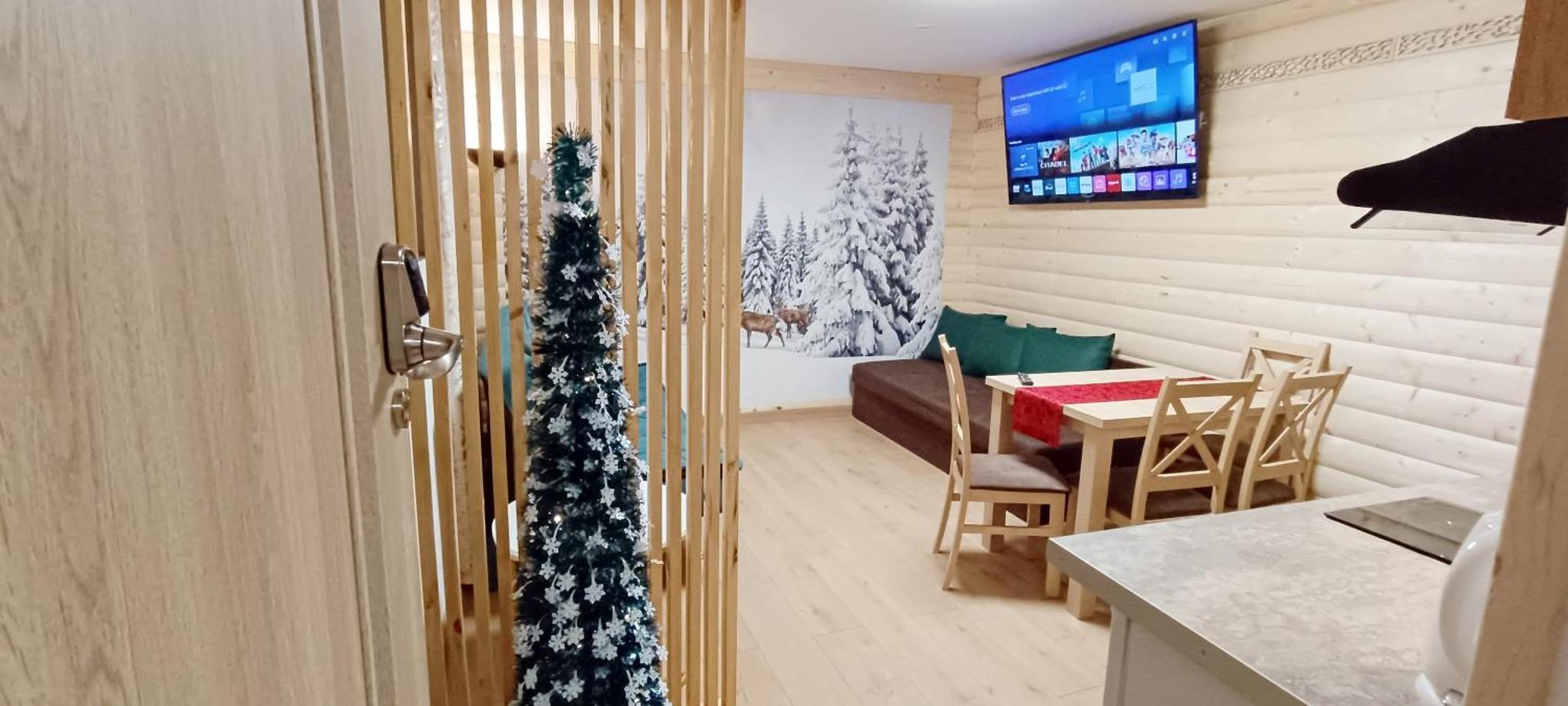 Suite Apartment Kitchenette