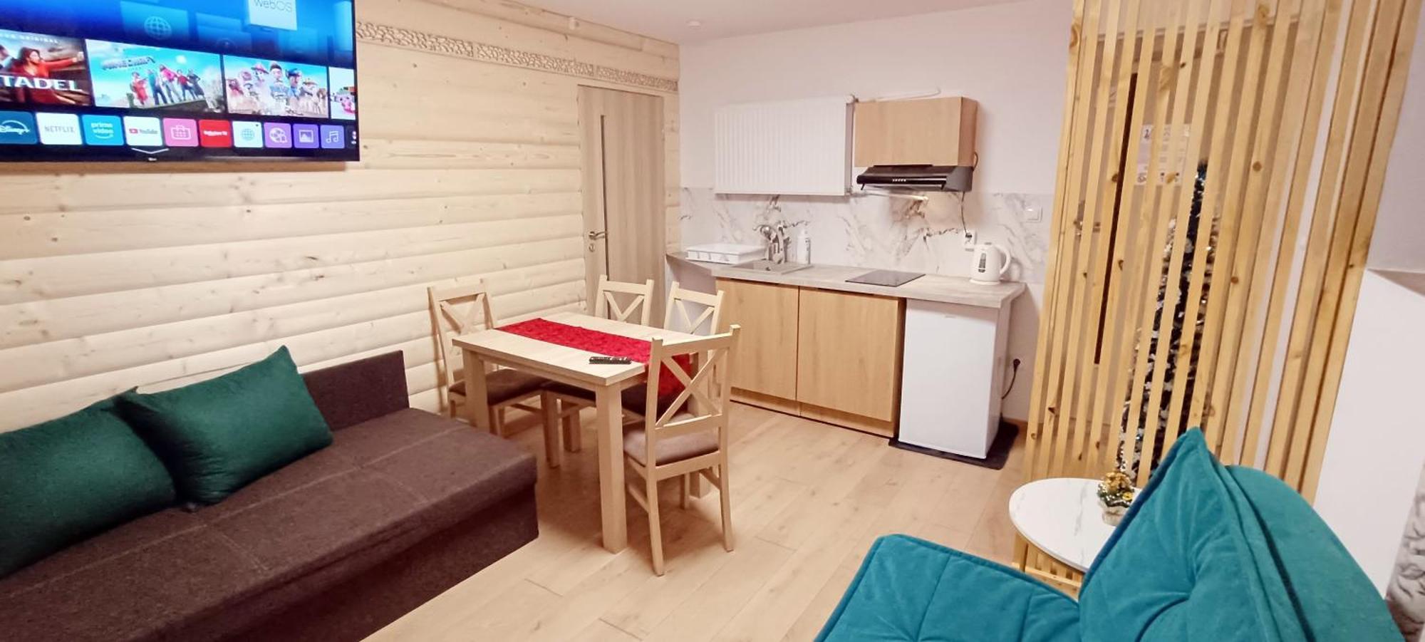 Suite Apartment Kitchenette
