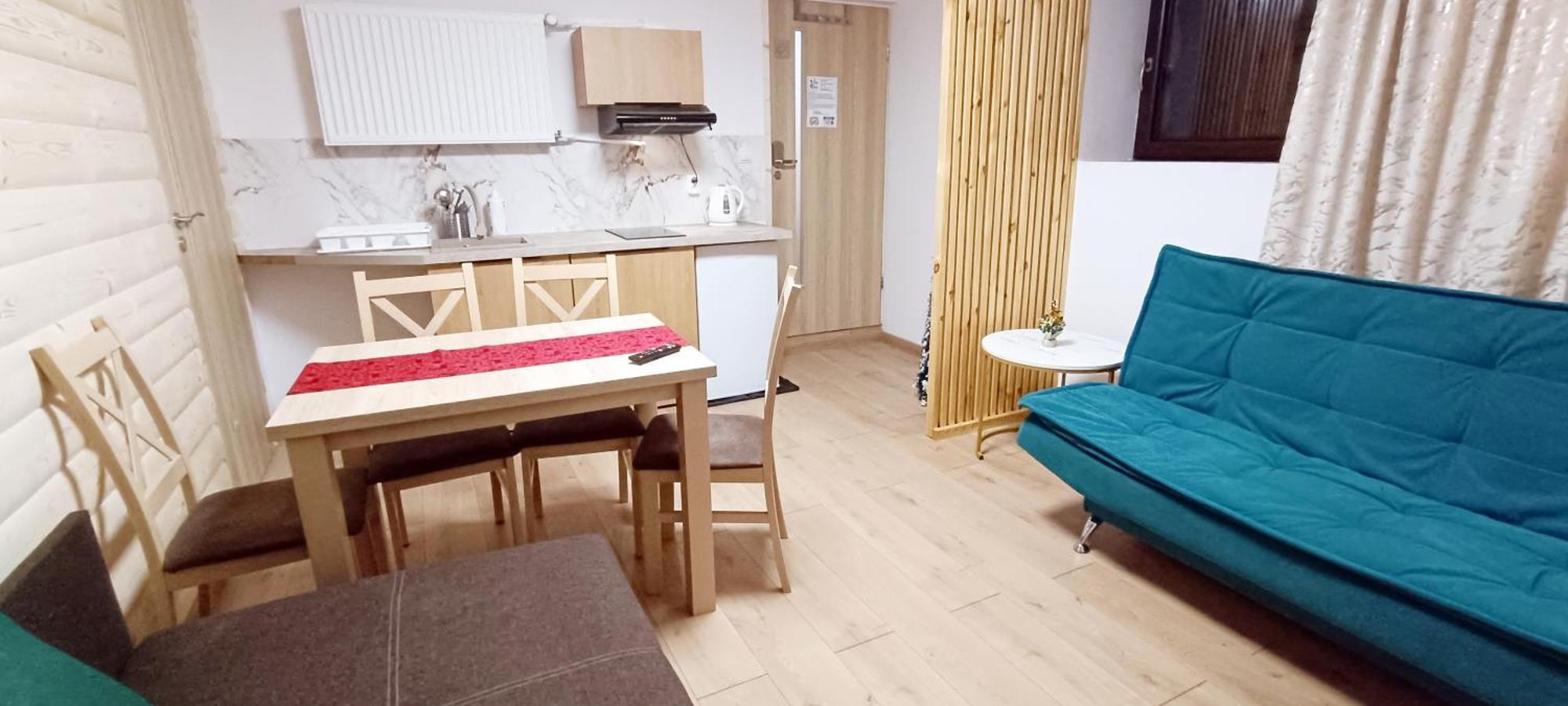 Suite Apartment Kitchenette