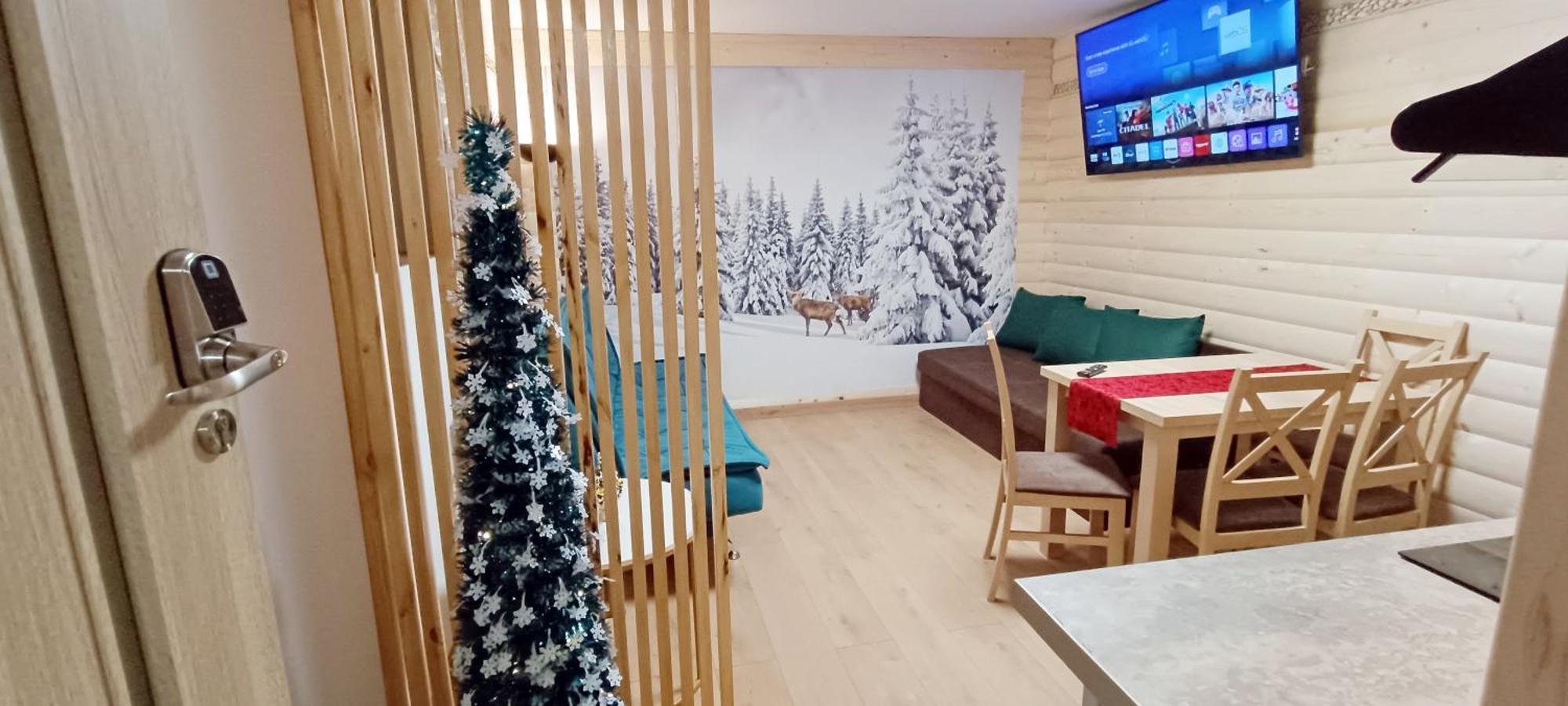 Suite Apartment Kitchenette