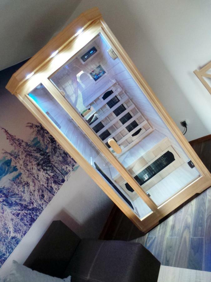 Deluxe Apartment Sauna